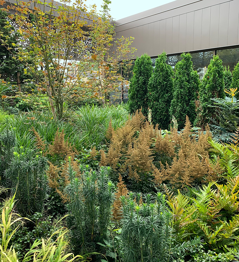 Lushly landscaped outdoor courtyard