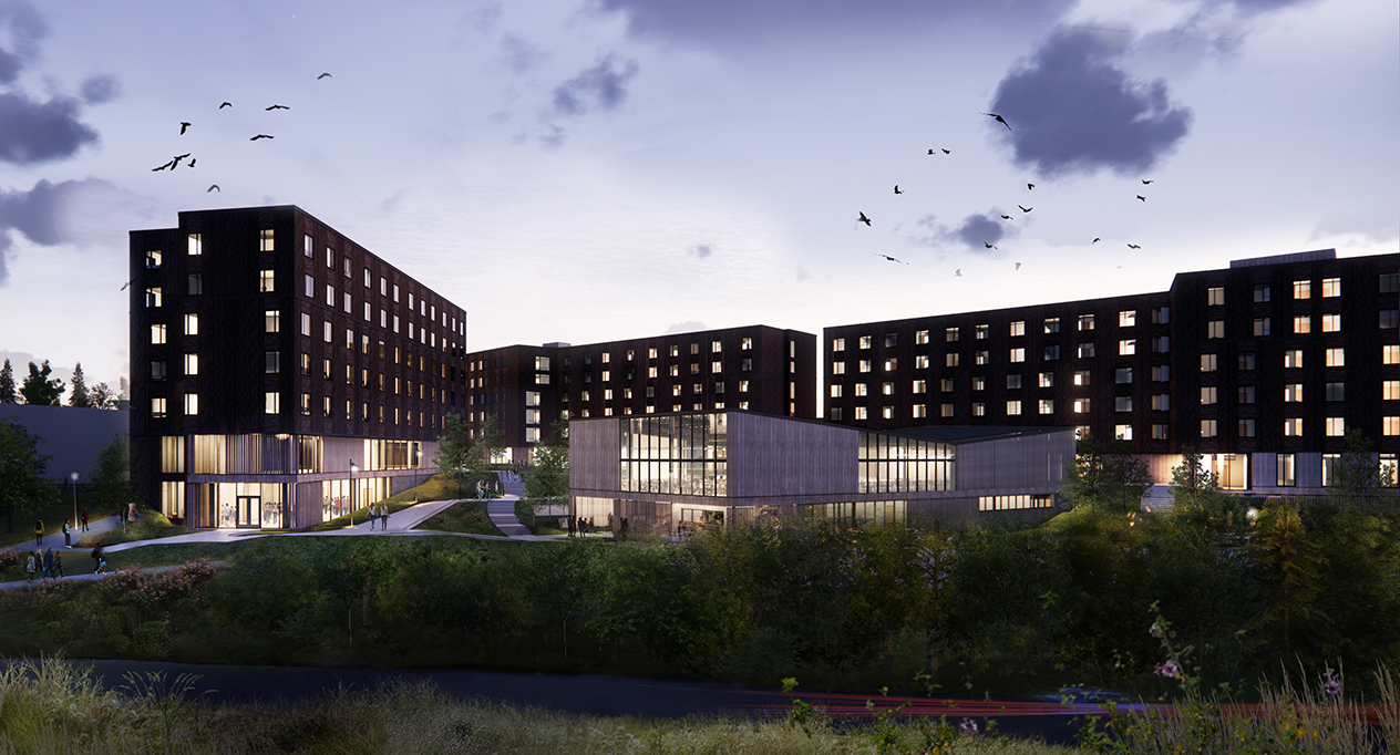 Artist's rendering of Husky Village at dusk, viewed from the adjacent wetlands.