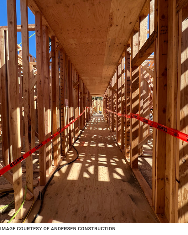 Construction image showing mass timber framing, Image courtesy of Andersen Construction