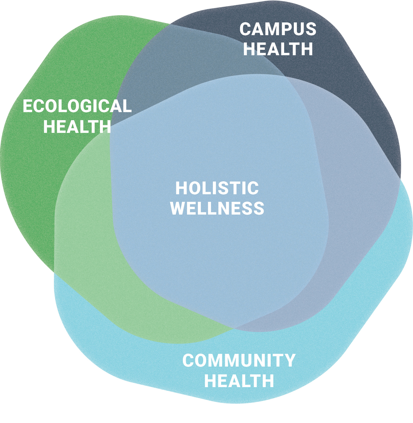A diagram showcasing Ecological Health, Campus Health, and Community Health all overlapping to create holistic wellness.